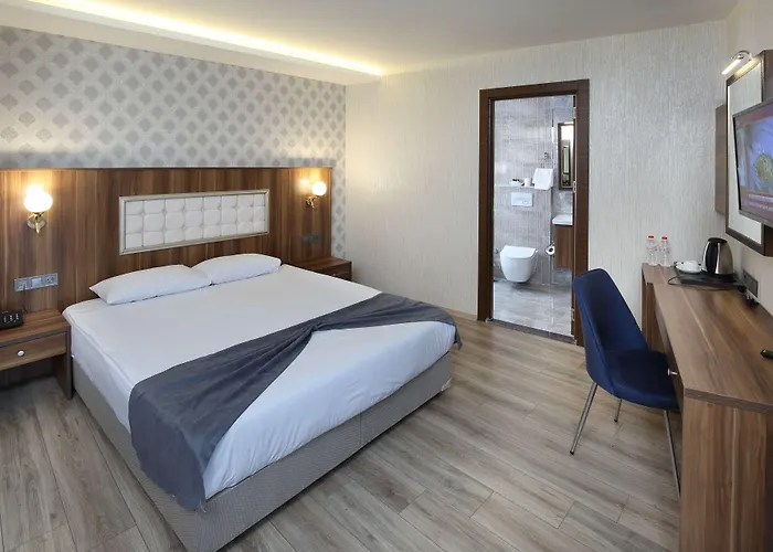 ホテル Taskopru 4*