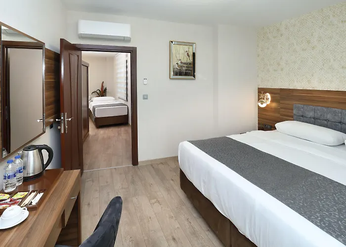 فندق Taskopru 4*